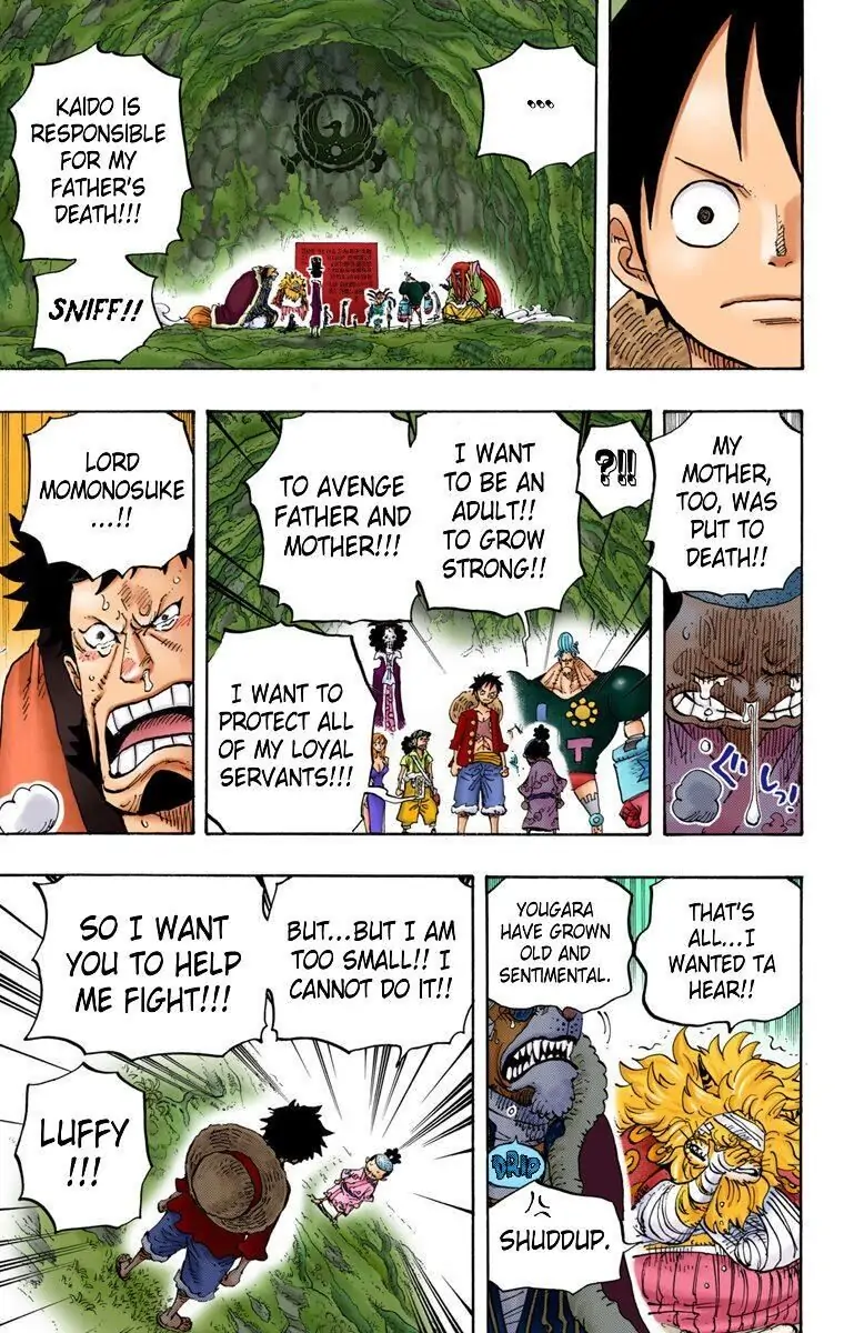 One Piece Digital Colored Chapter 819 image 11